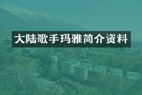 大陆歌手玛雅简介资料