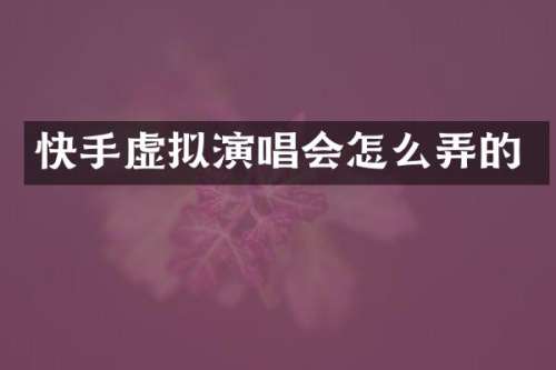 快手虚拟演唱会怎么弄的
