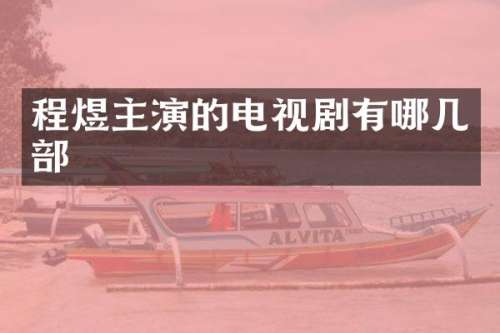 程煜主演的电视剧有哪几部
