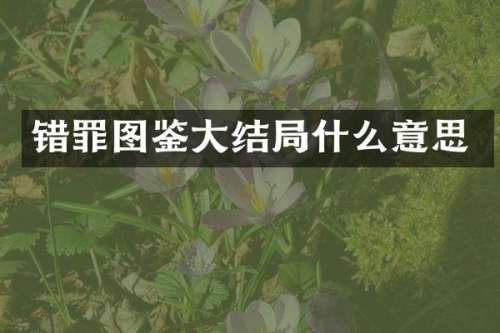 错罪图鉴大结局什么意思