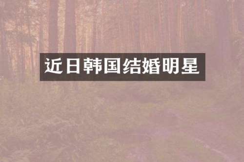 近日韩国结婚明星