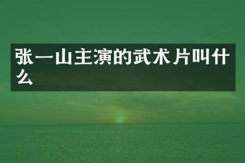 张一山主演的武术片叫什么