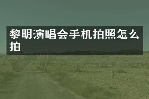 黎明演唱会手机拍照怎么拍