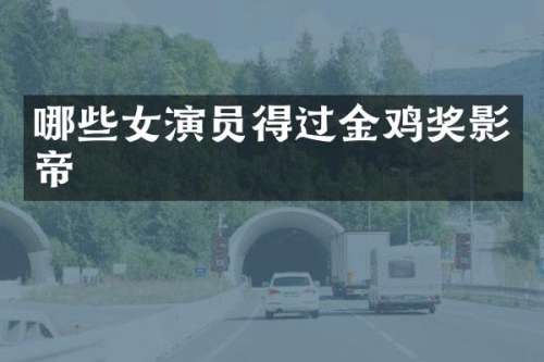 哪些女演员得过金鸡奖影帝