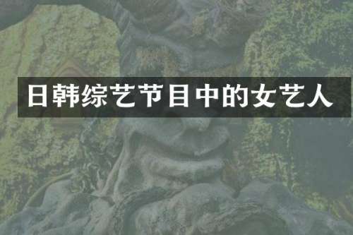 日韩综艺节目中的女艺人