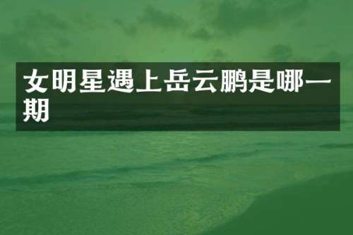 女明星遇上岳云鹏是哪一期