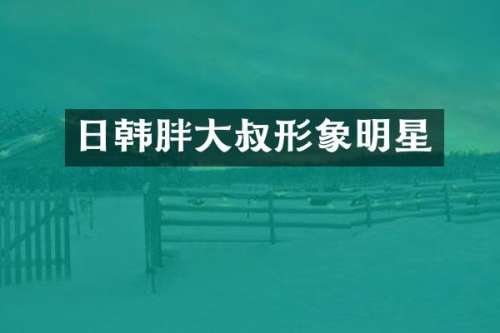 日韩胖大叔形象明星