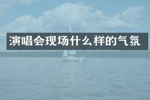 演唱会现场什么样的气氛