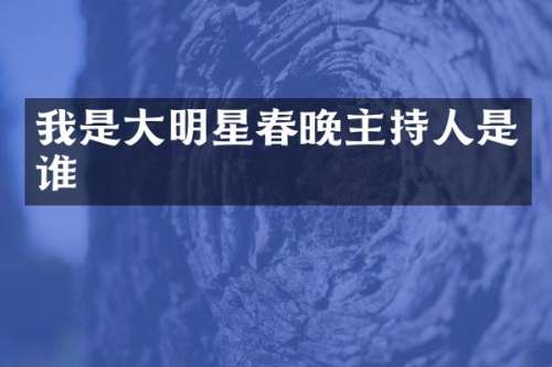 我是大明星主持人是谁