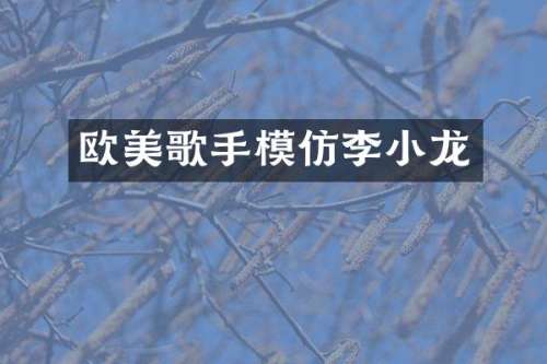 欧美歌手模仿李小龙