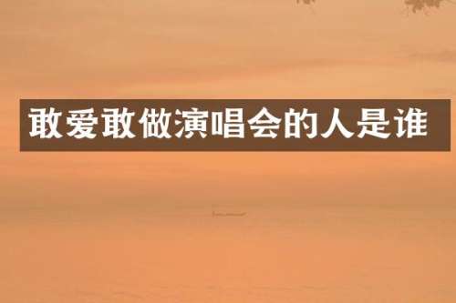 敢爱敢做演唱会的人是谁