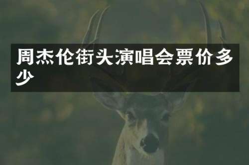 周杰伦街头演唱会票价多少