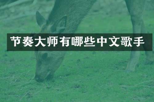 节奏大师有哪些中文歌手