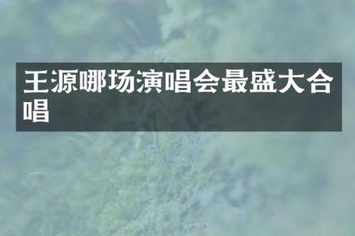 王源哪场演唱会最盛大合唱
