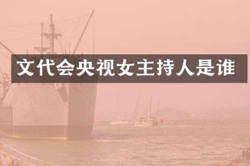 文代会央视女主持人是谁