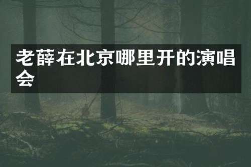 老薛在北京哪里开的演唱会