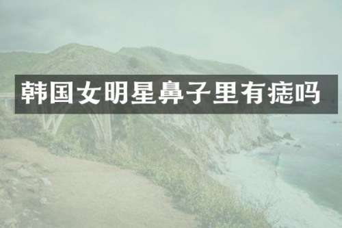 韩国女明星鼻子里有痣吗