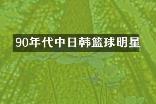 90年代中日韩篮球明星