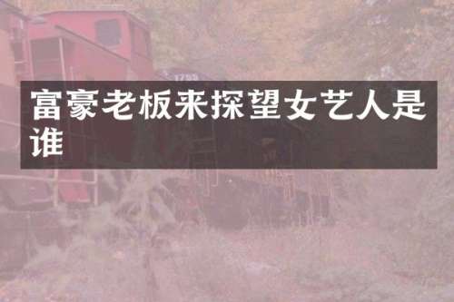 富豪老板来探望女艺人是谁