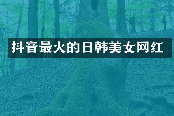 抖音最火的日韩网红