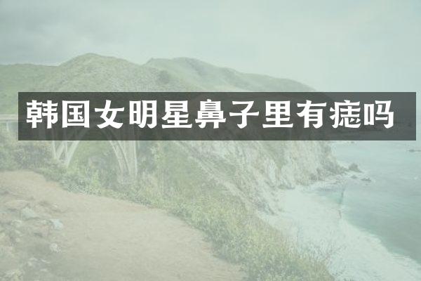 韩国女明星鼻子里有痣吗