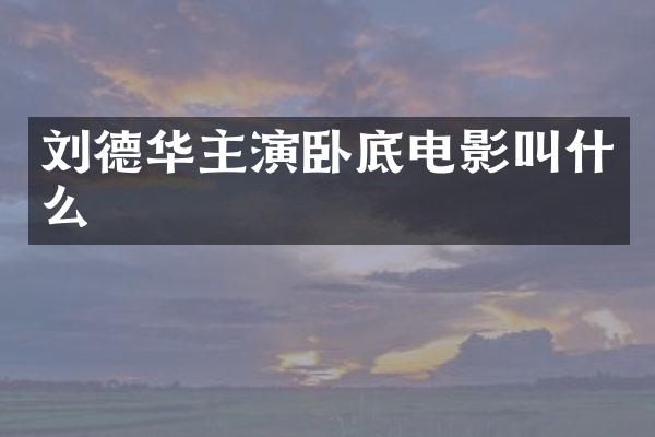 刘德华主演卧底电影叫什么