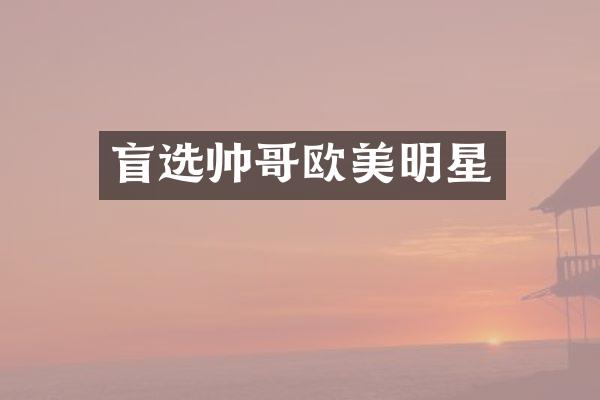 盲选帅哥欧美明星