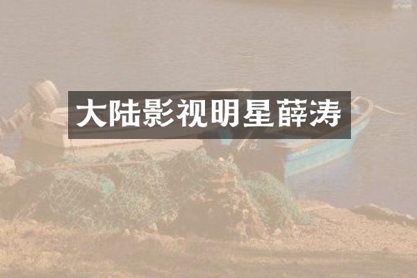 大陆影视明星薛涛