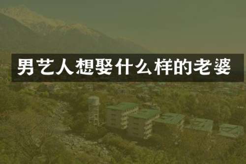 男艺人想娶什么样的老婆