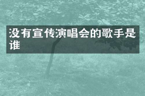 没有宣传演唱会的歌手是谁