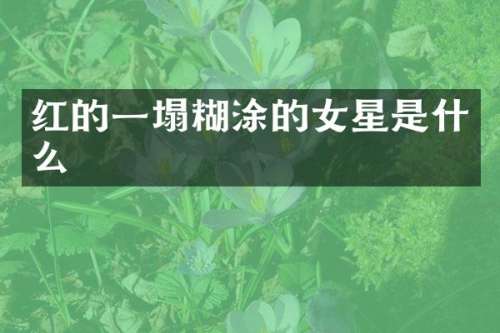 红的一塌糊涂的女星是什么