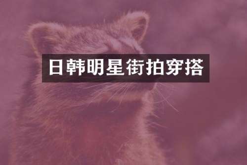 日韩明星街拍穿搭