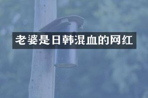 老婆是日韩混血的网红