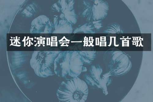 迷你演唱会一般唱几首歌