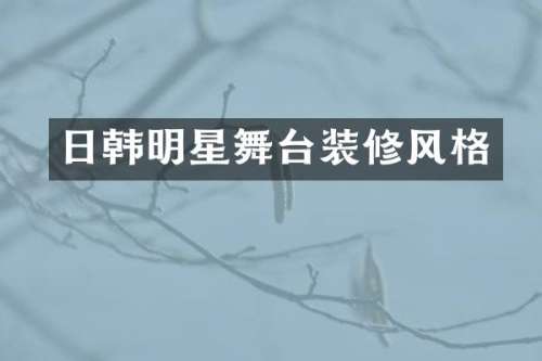 日韩明星舞台装修风格