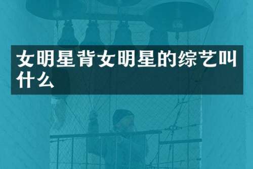 女明星背女明星的综艺叫什么