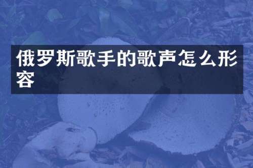 俄罗斯歌手的歌声怎么形容