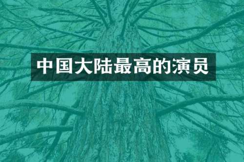 中国大陆最高的演员