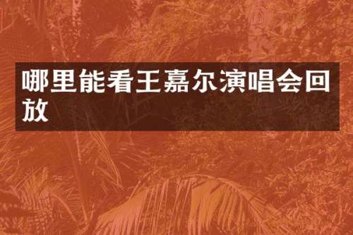 哪里能看王嘉尔演唱会回放