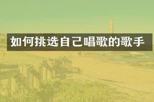 如何挑选自己唱歌的歌手