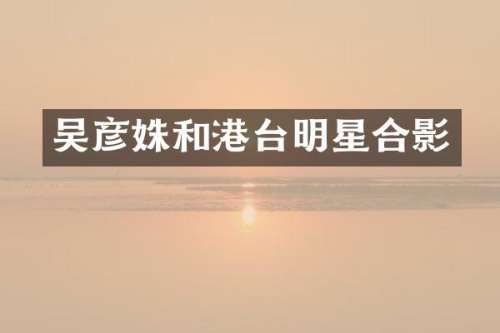 吴彦姝和港台明星合影