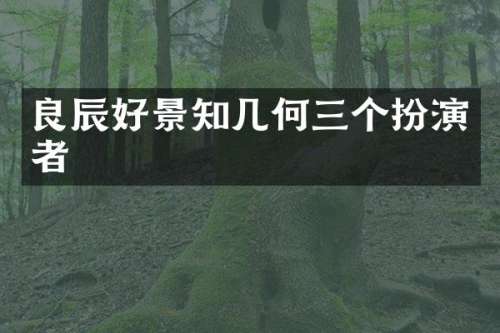 良辰好景知几何三个扮演者