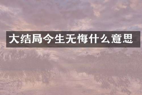 大结局今生无悔什么意思