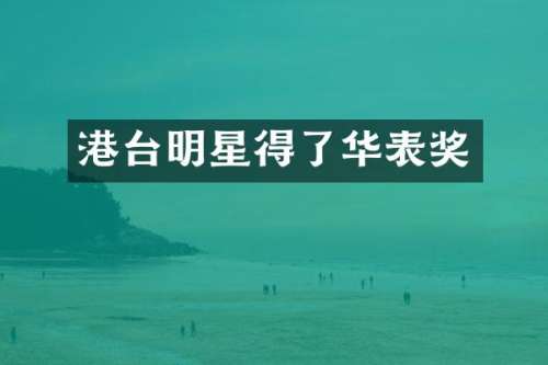 港台明星得了华表奖