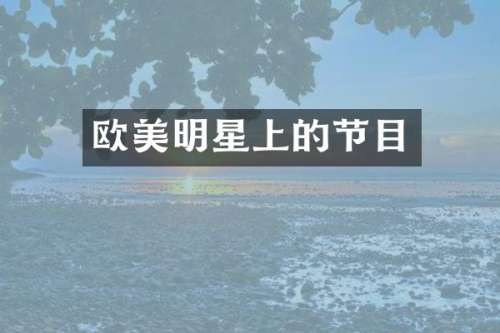 欧美明星上的节目