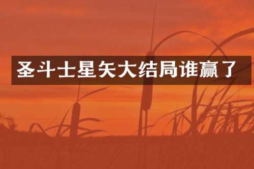 圣斗士星矢大结局谁赢了