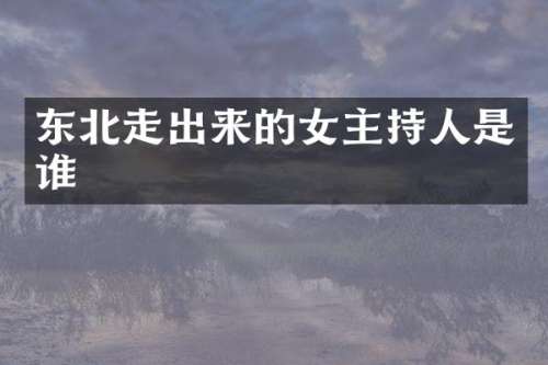东北走出来的女主持人是谁