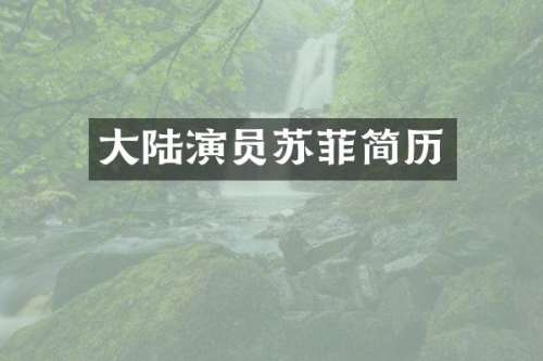 大陆演员苏菲简历