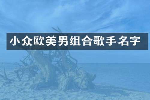 小众欧美男组合歌手名字
