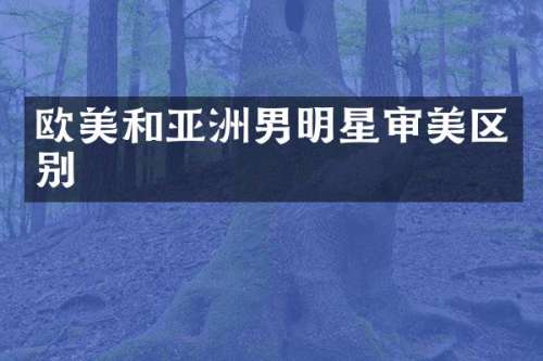 欧美和亚洲男明星审美区别